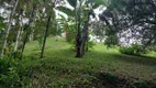 Foto 2 de Fazenda/Sítio com 2 Quartos à venda, 11700m² em Areias de Cima Guaporanga, Biguaçu
