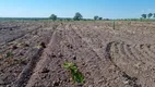 Foto 16 de Fazenda/Sítio à venda, 1m² em , Santa Rita do Tocantins