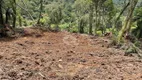 Foto 11 de Lote/Terreno à venda, 20000m² em Centro, Rio Rufino