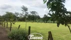 Foto 7 de Casa com 3 Quartos à venda, 10000m² em , Sertaneja