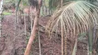 Foto 6 de Fazenda/Sítio com 2 Quartos à venda, 1800m² em Paiol do Meio, São Lourenço da Serra