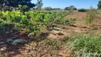 Foto 6 de Fazenda/Sítio com 3 Quartos à venda, 5000m² em , Santa Fé