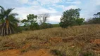 Foto 31 de Lote/Terreno à venda, 20000m² em Centro, Jequitibá