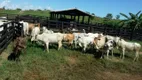 Foto 5 de Fazenda/Sítio com 1 Quarto à venda, 12000000m² em Zona Rural, Nova Brasilândia