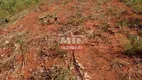 Foto 3 de Fazenda/Sítio à venda, 1050m² em Zona Rural, Ponte Alta do Tocantins