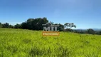 Foto 26 de Fazenda/Sítio com 3 Quartos à venda, 500m² em Zona Rural, Goiás