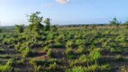 Foto 9 de Fazenda/Sítio com 4 Quartos à venda, 300m² em , Boa Saúde