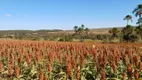 Foto 19 de Fazenda/Sítio com 3 Quartos à venda, 1130000m² em Planaltina, Brasília