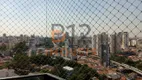 Foto 20 de Cobertura com 3 Quartos para alugar, 250m² em Vila Pauliceia, São Paulo