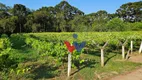 Foto 20 de Fazenda/Sítio com 3 Quartos à venda, 187m² em Guajuvira, Araucária