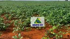 Foto 11 de Fazenda/Sítio à venda, 3388000m² em Zona Rural, Ponte Alta do Tocantins