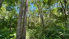 Foto 3 de Fazenda/Sítio com 2 Quartos à venda, 2500000m² em Mimoso, Santo Antônio do Leverger