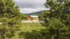 Foto 14 de Casa com 4 Quartos à venda, 300m² em São João do Rio Vermelho, Florianópolis