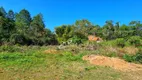 Foto 17 de Lote/Terreno à venda, 15700m² em Paiao, Guararema