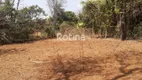 Foto 3 de Fazenda/Sítio à venda, 1350m² em Area Rural de Uberlandia, Uberlândia