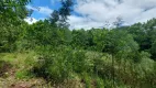 Foto 6 de Fazenda/Sítio com 2 Quartos à venda, 70m² em Linha Brasil, Nova Petrópolis