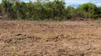 Foto 7 de Fazenda/Sítio à venda, 1250m² em Zona Rural, Lagoa da Confusão