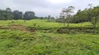 Foto 12 de Fazenda/Sítio com 1 Quarto à venda, 5000m² em Centro, Anitápolis