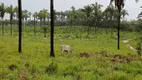 Foto 15 de Fazenda/Sítio à venda em , Penalva