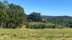 Foto 11 de Fazenda/Sítio com 3 Quartos à venda, 484000m² em Itaqueri da Serra, Itirapina