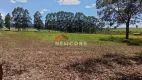 Foto 15 de Fazenda/Sítio com 3 Quartos à venda, 1200m² em Centro, Avaré