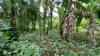 Foto 21 de Fazenda/Sítio com 3 Quartos à venda, 240m² em Zona Rural, Peruíbe