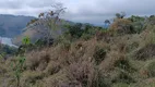 Foto 36 de Fazenda/Sítio à venda, 60000m² em Zona Rural, Natividade da Serra