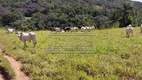 Foto 19 de Fazenda/Sítio com 16 Quartos à venda, 900m² em , Roseira