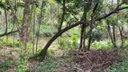 Foto 5 de Fazenda/Sítio com 4 Quartos à venda, 55000m² em Zona Rural, Santa Cruz de Goiás