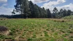 Foto 24 de Lote/Terreno com 1 Quarto à venda, 1000m² em Vargem do Salto, Ibiúna