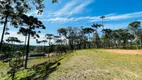 Foto 8 de Lote/Terreno à venda, 100000m² em Bateias de Baixo, Campo Alegre