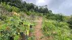 Foto 11 de Fazenda/Sítio com 3 Quartos à venda, 10000m² em Zona Rural, Domingos Martins