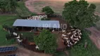 Foto 8 de Fazenda/Sítio com 5 Quartos à venda, 4500m² em , Aparecida do Taboado