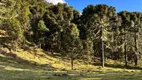 Foto 3 de Lote/Terreno à venda em Zona Rural, Urubici