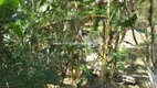 Foto 8 de Fazenda/Sítio com 3 Quartos à venda, 2700m² em Agro Brasil, Cachoeiras de Macacu