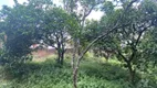 Foto 3 de Lote/Terreno à venda, 414m² em Panazzolo, Caxias do Sul