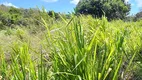 Foto 5 de Fazenda/Sítio com 4 Quartos à venda, 125000m² em Povoado Punau, Rio do Fogo