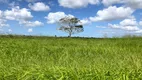 Foto 5 de Fazenda/Sítio com 5 Quartos à venda, 590000m² em Monte Alegre, Monte Alegre