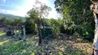 Foto 8 de Lote/Terreno à venda, 20000m² em Vale dos Vinhedos, Bento Gonçalves