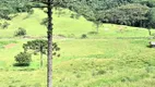 Foto 15 de Fazenda/Sítio com 2 Quartos à venda, 184000m² em Zona Rural, Bom Retiro