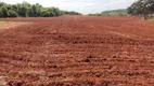 Foto 7 de Fazenda/Sítio com 3 Quartos à venda, 130m² em Area Rural de Itapetininga, Itapetininga