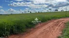 Foto 13 de Fazenda/Sítio à venda, 398000m² em Zona Rural, Campina Verde