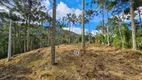 Foto 14 de Fazenda/Sítio à venda, 20000m² em Santa Tereza, Urubici