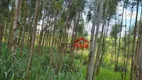 Foto 6 de Lote/Terreno à venda, 13000m² em Botuquera, Guararema