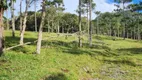 Foto 6 de Fazenda/Sítio com 3 Quartos à venda, 100m² em Centro, Campo Alegre