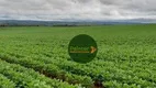 Foto 7 de Fazenda/Sítio à venda, 6534000m² em Zona Rural, Alto Paraíso de Goiás