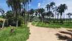 Foto 5 de Fazenda/Sítio com 5 Quartos à venda, 300m² em Zona Rural, Petrolina de Goiás
