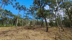 Foto 18 de Fazenda/Sítio à venda, 20000m² em Santa Tereza, Urubici