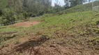 Foto 9 de Lote/Terreno à venda, 2500m² em Zona Rural, Marmelópolis