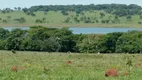 Foto 4 de Fazenda/Sítio à venda em Centro, Iturama